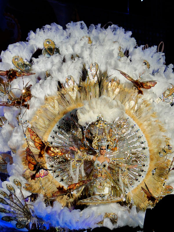 Costume da carnevale con piume e farfalle a Santa Cruz de Tenerife.