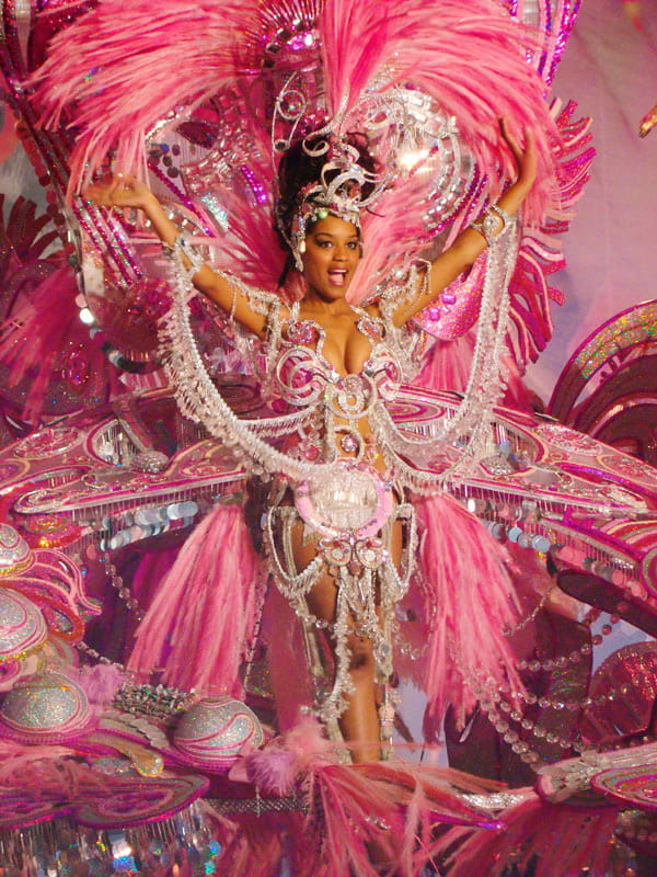 Persona in costume rosa e piume al Carnevale di Santa Cruz de Tenerife.