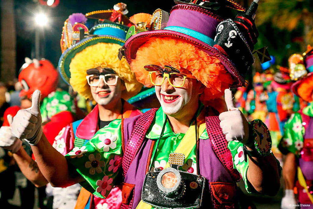 Persona in costume colorato durante il carnevale a Santa Cruz de Tenerife.