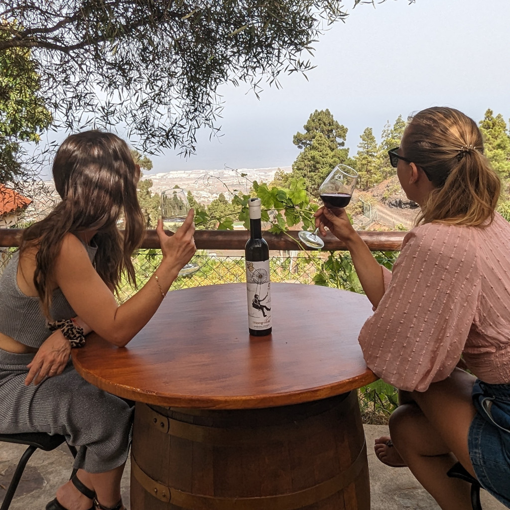 Persone che si godono il vino con vista su La Laguna, Tenerife. Bottiglia sul tavolo.