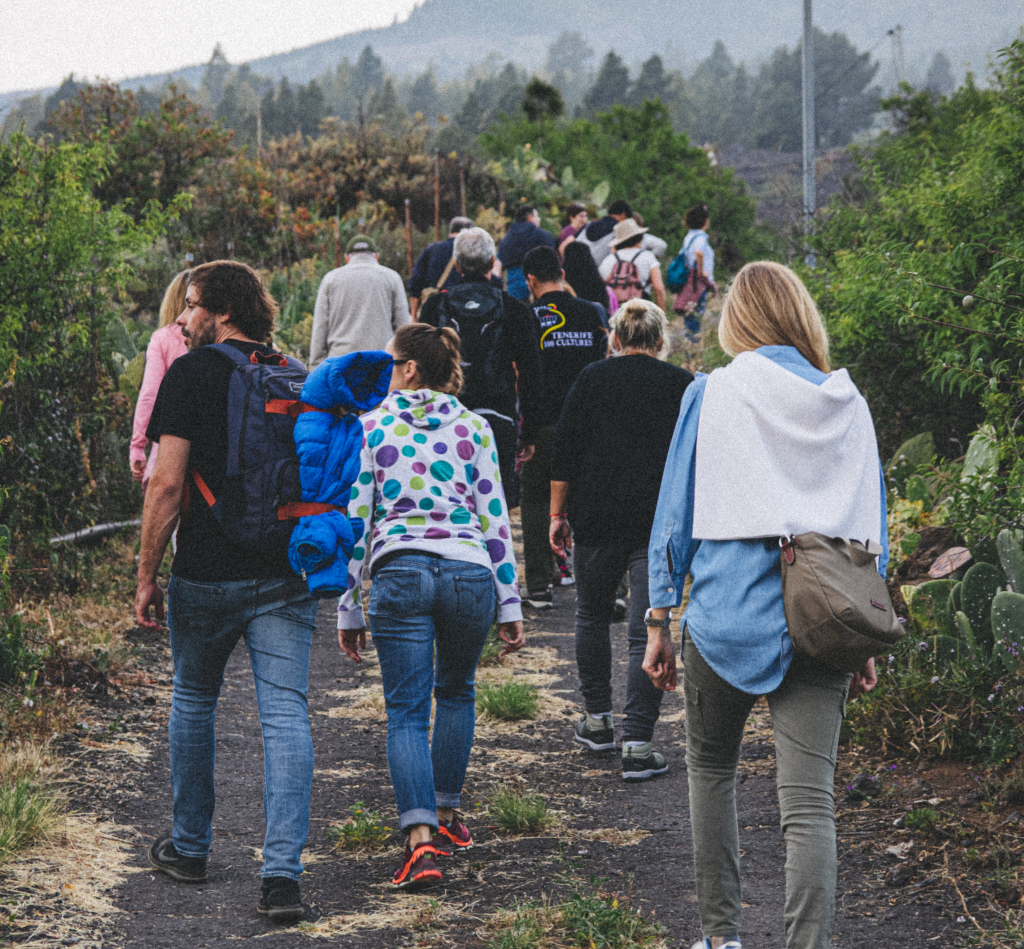 Persone che camminano su un sentiero circondato dal verde a Tenerife.