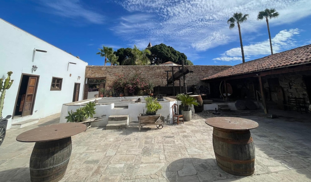 Patio tradizionale con botti e piante a Icod de los Vinos, Tenerife.