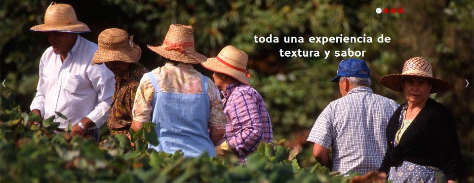 Bodegas Insulares de Tenerife