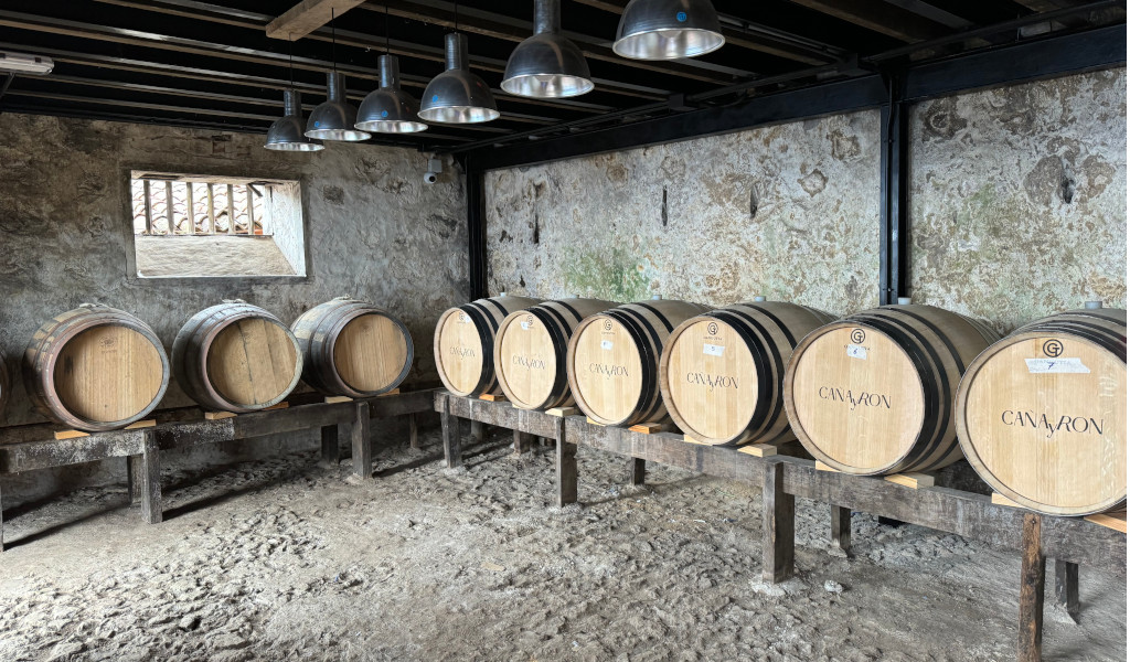 Botti di vino nella cantina di Tenerife etichettate con CANARIO.