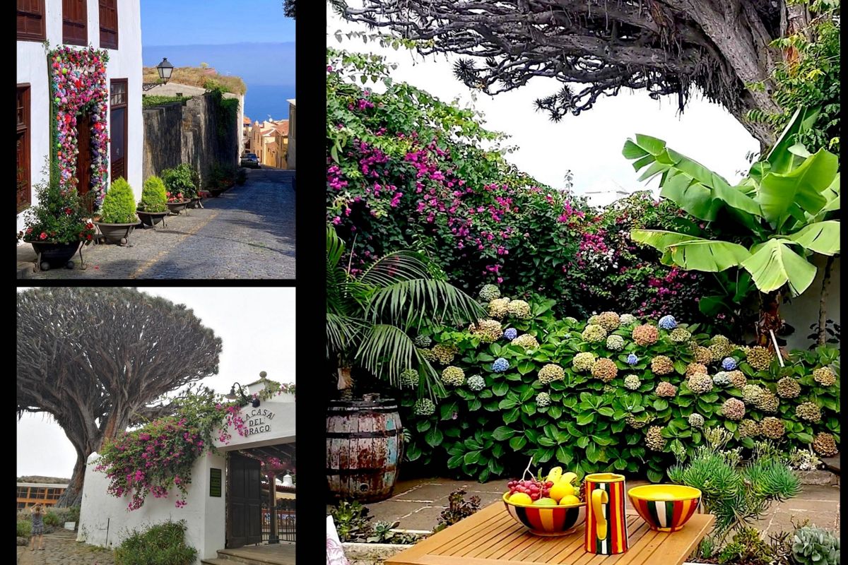Strada acciottolata con vasi di fiori e vista sul mare a Tenerife. Arbusti e fiori nel giardino di Tenerife. Ingresso alla Casa del Drago con l'iconico albero di Tenerife.