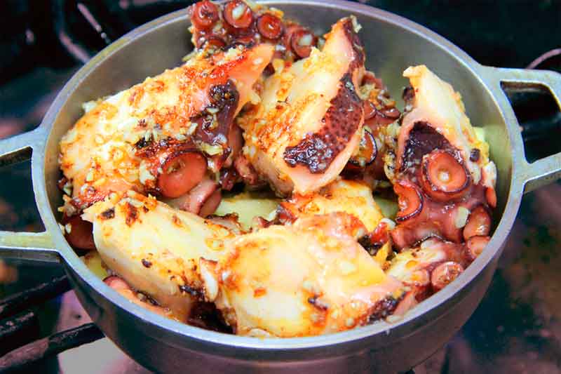 galeria-pulpo.jpg