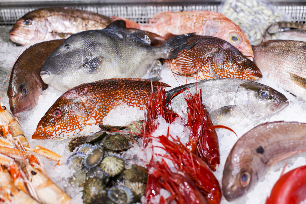 Varietà di pesce fresco e frutti di mare sul ghiaccio a Tenerife.