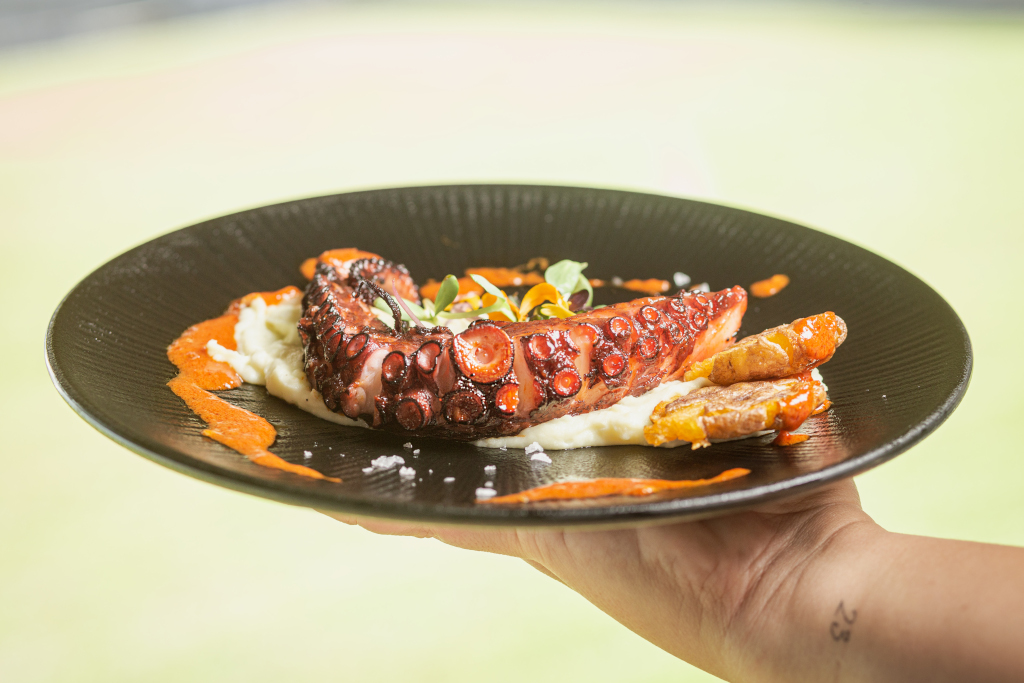 Polpo grigliato su purea, decorato con salsa, servito a Tenerife.