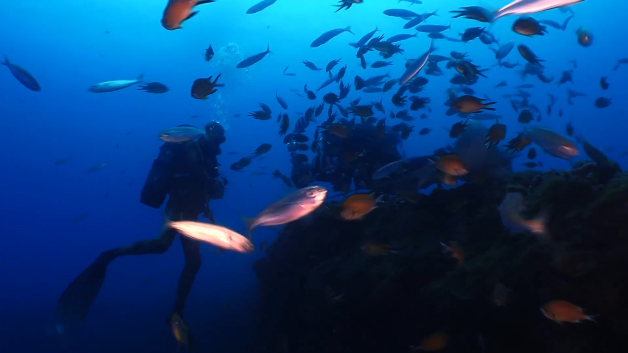Cueva de Las Morenas - Los Cristianos 