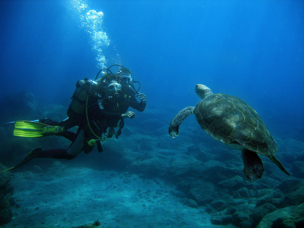 Subacqueo con una tartaruga marina nelle acque di Tenerife.