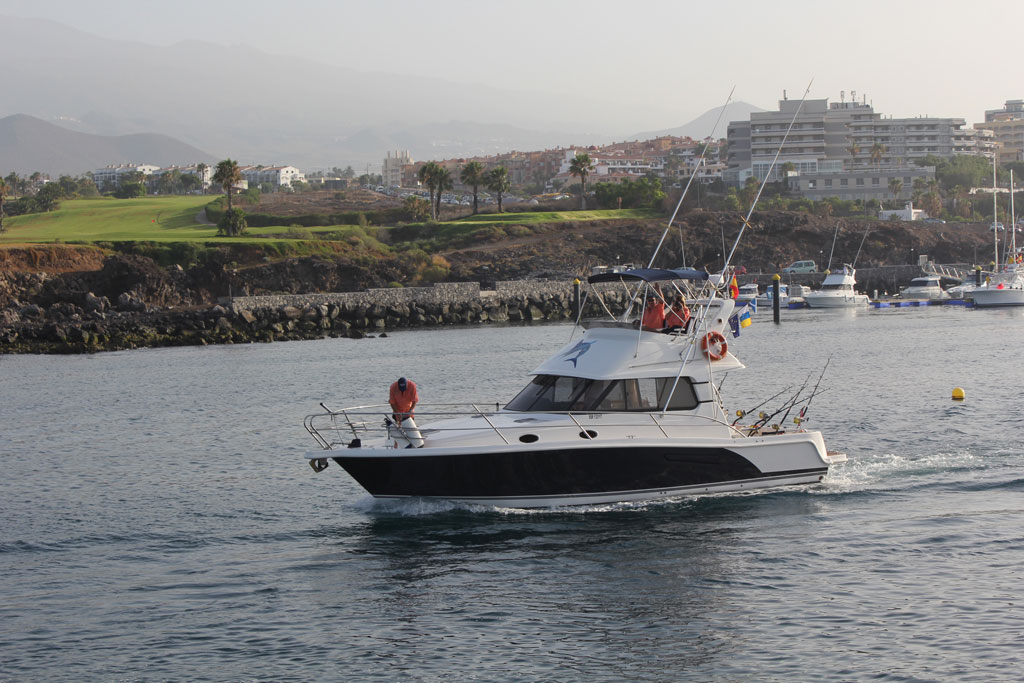 Barca da pesca che naviga vicino alla costa di Tenerife con palme e edifici sullo sfondo.