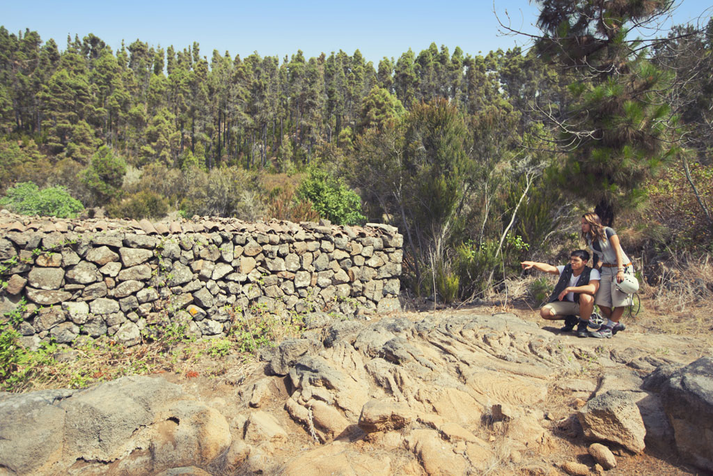 Persone che guardano un muro di pietra in una foresta a Tenerife.