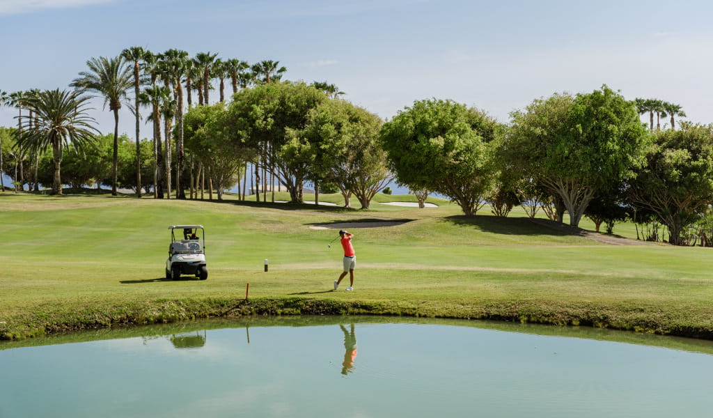 Persona che gioca a golf su un campo con palme e un carrello a Tenerife.