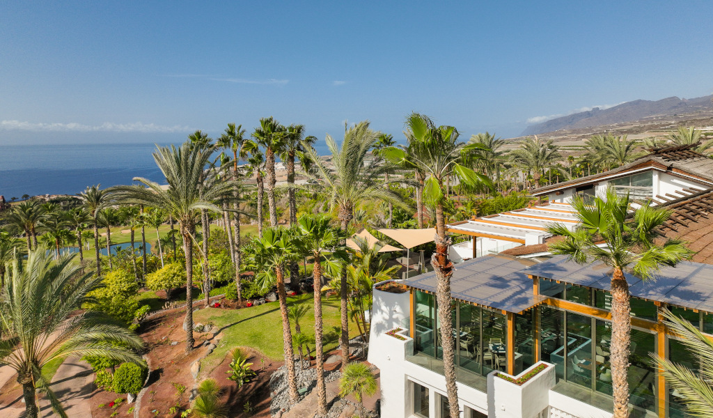 Strutture circondate da palme che si affacciano sull'oceano a Tenerife.