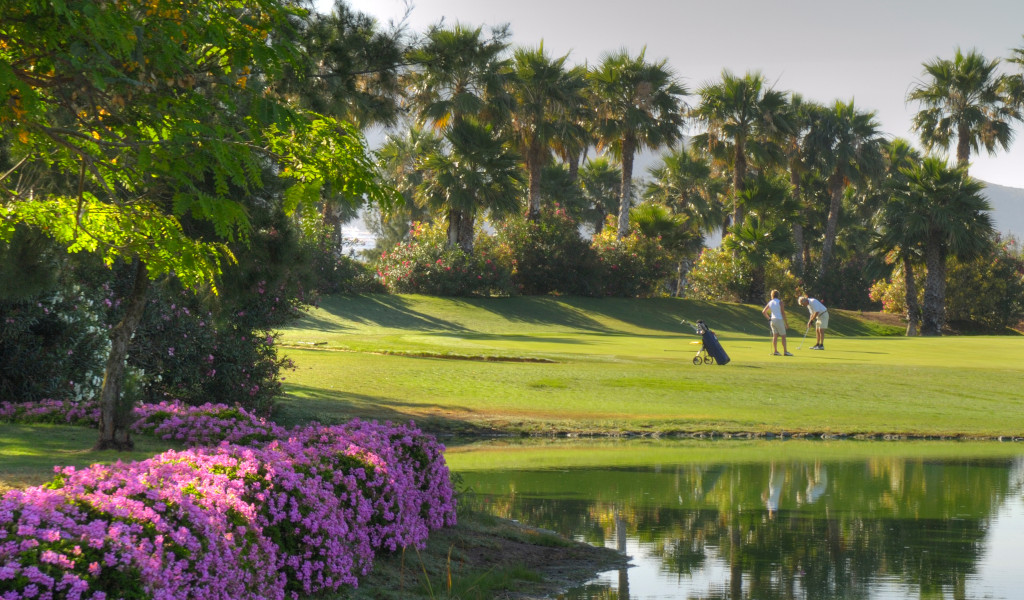 Persone che giocano a golf su un campo con palme a Tenerife.