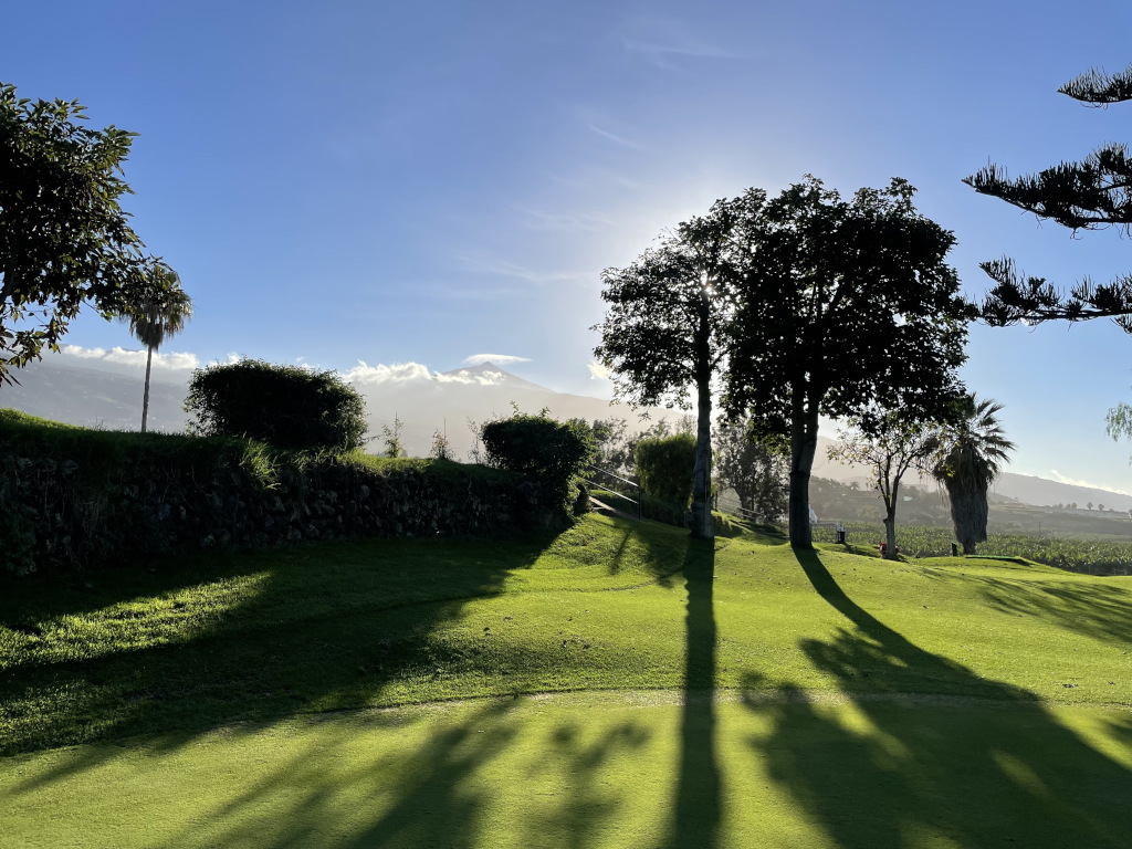Alberi ed erba sotto il sole con uno sfondo di montagne a Tenerife.