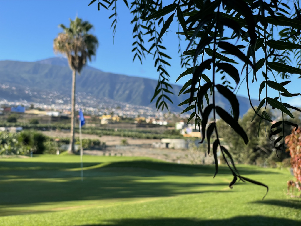 Campo da golf a Tenerife con montagna e alberi sullo sfondo.