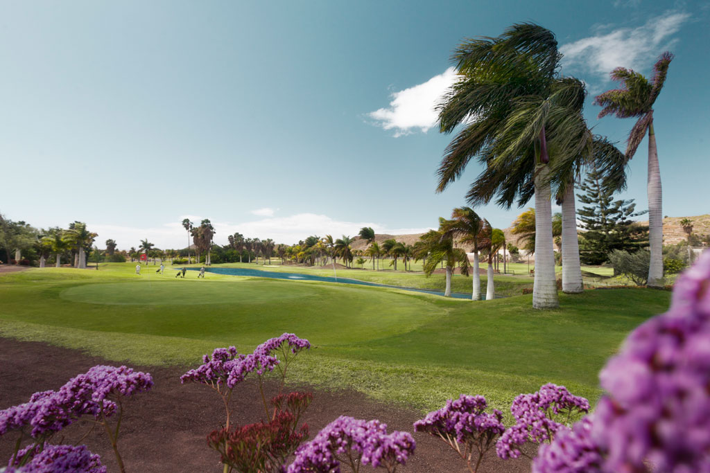 Campo da golf con palme e fiori viola a Tenerife.