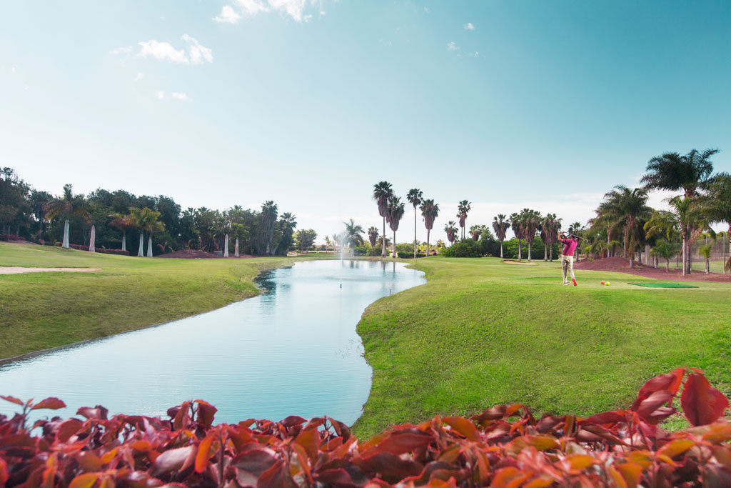 Campo da golf con palme e lago a Costa Adeje, Tenerife.