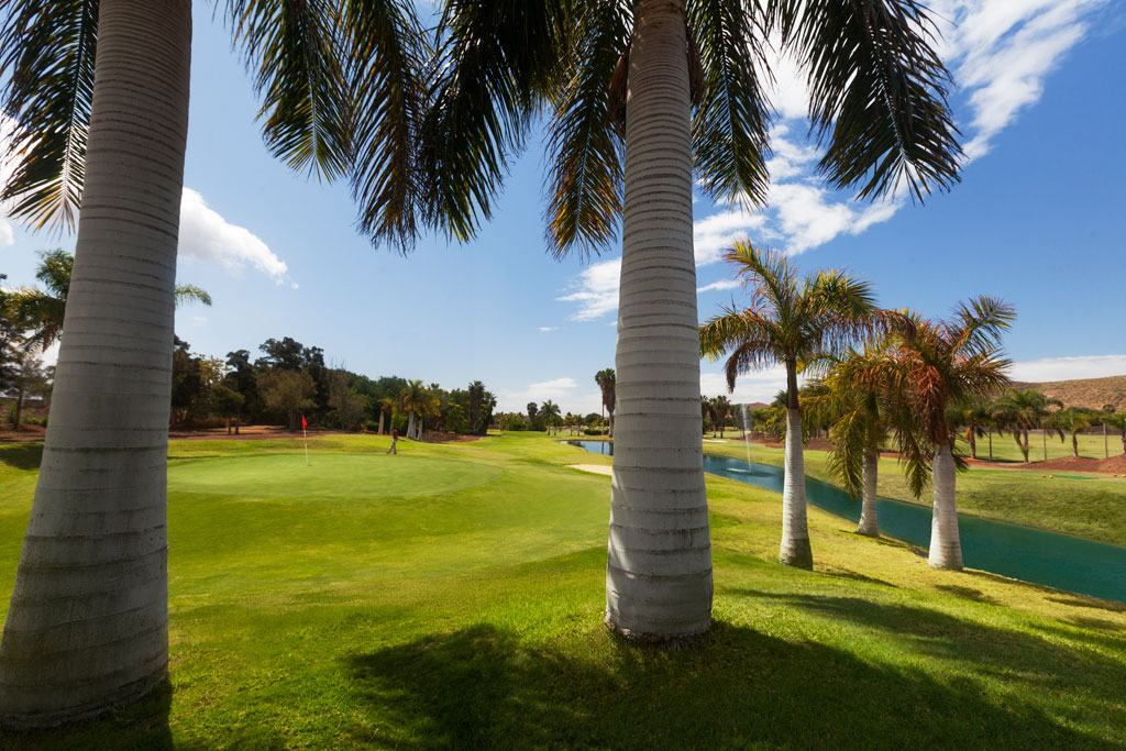 Campo da golf circondato dalle palme a Tenerife, cielo limpido.