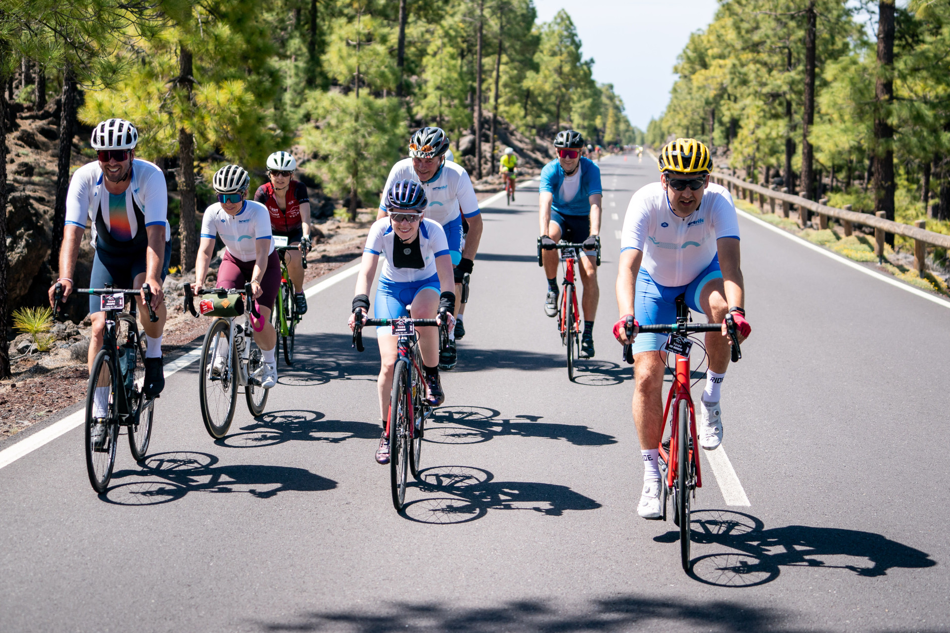 Ciclisti su strada circondati da pini a Tenerife.