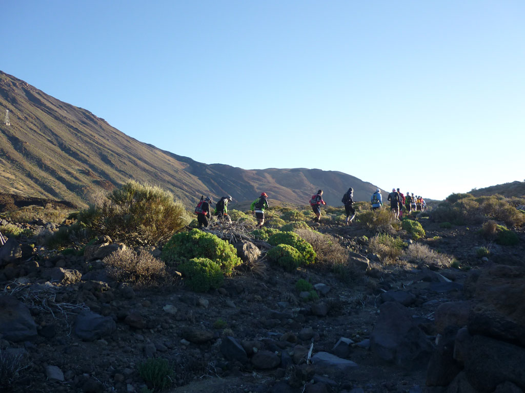 Gruppo di persone che fanno escursionismo nel Parco Nazionale del Teide, Tenerife.