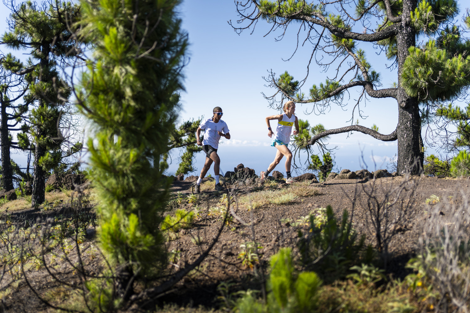 Persone che corrono tra i pini su un sentiero a Tenerife con cieli sereni.