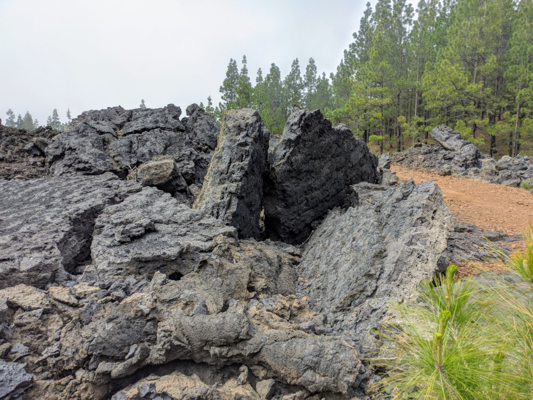 Rocce vulcaniche e pini su un sentiero su El Teide, Tenerife.