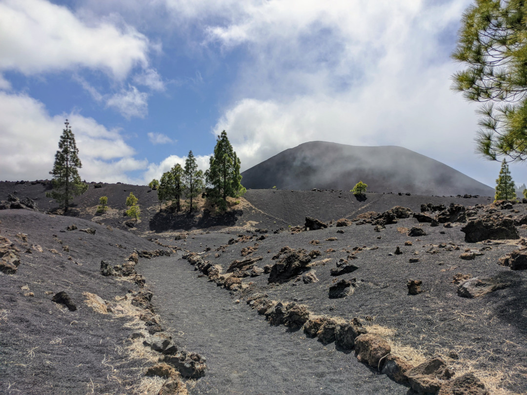 Sentiero vulcanico nel Parco Nazionale del Teide, Tenerife, con pini e cieli nuvolosi.