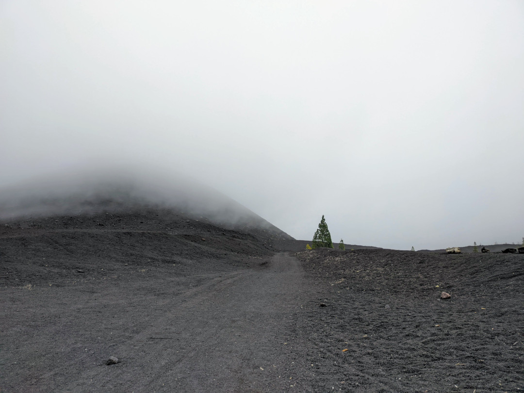 Paesaggio vulcanico nebbioso a Tenerife, con una strada sterrata e pini sparsi.