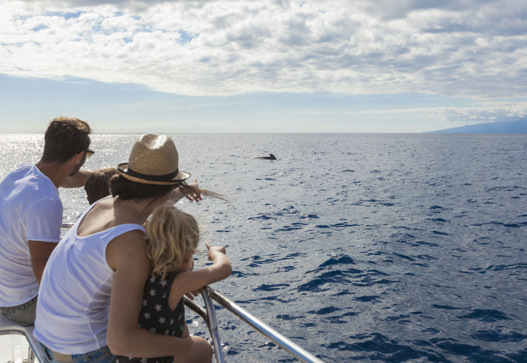 Famiglia che osserva i delfini da una barca a Tenerife.