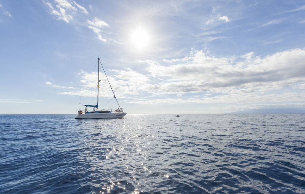 Barca a vela che naviga nell'oceano sotto il sole vicino a Tenerife.