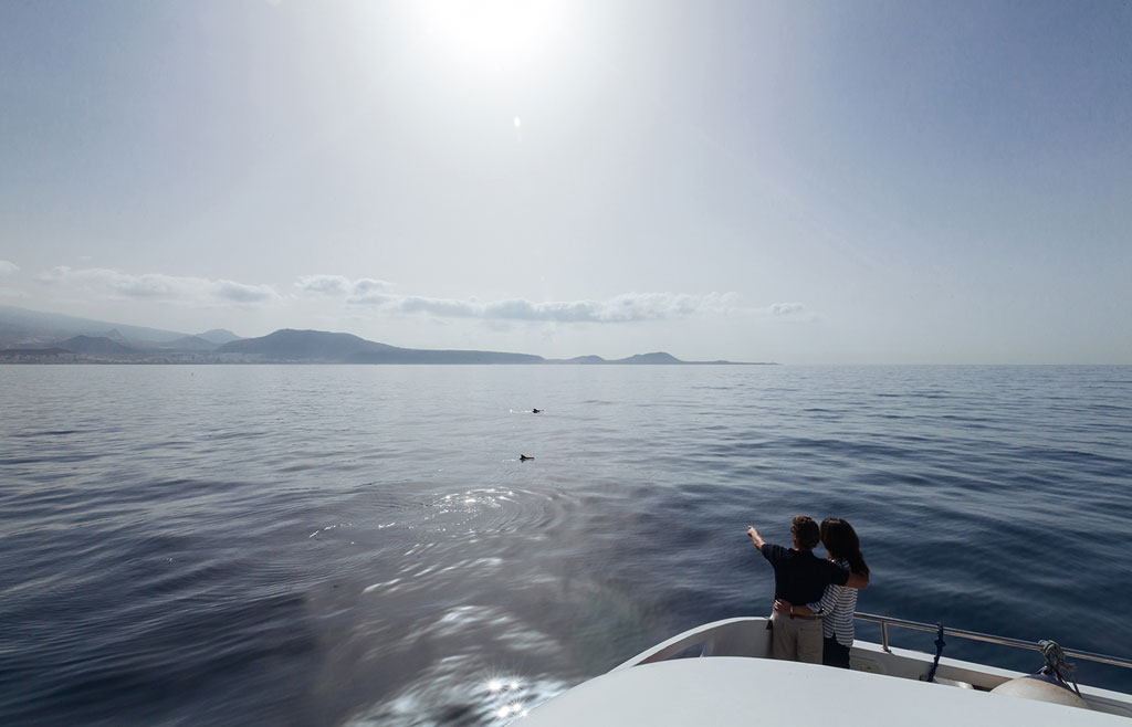 Coppia su una barca che osserva l'oceano e la costa di Tenerife sullo sfondo.