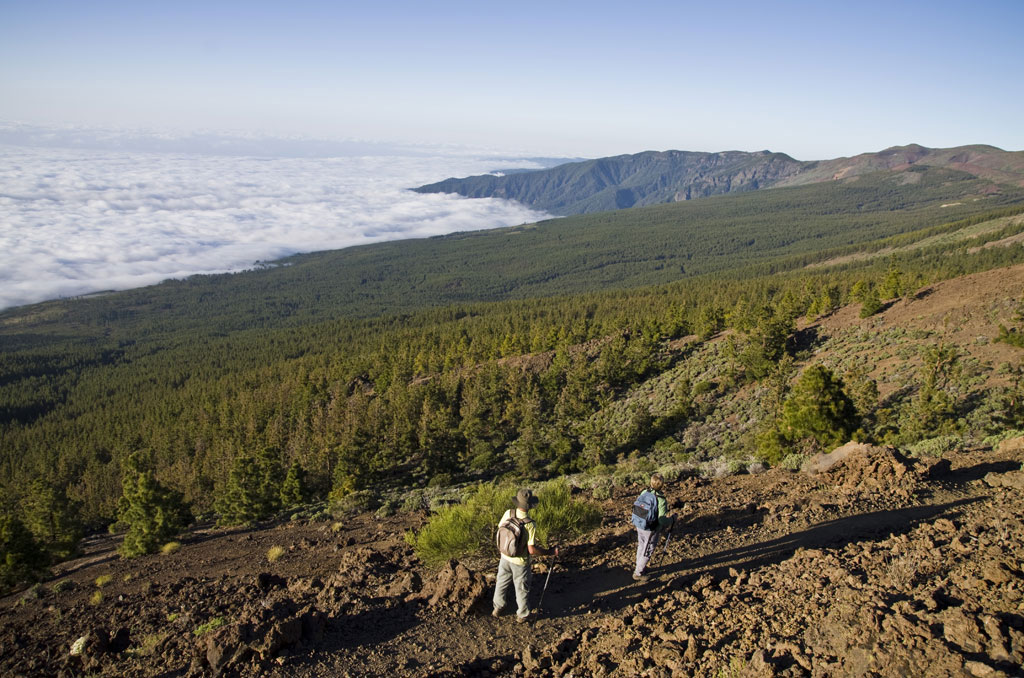 Gli escursionisti percorrono un sentiero nel Parco Nazionale del Teide a Tenerife, con viste panoramiche.