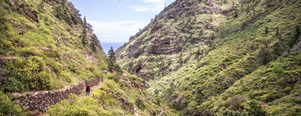 SL-TF 296.2 Barranco Chacorche