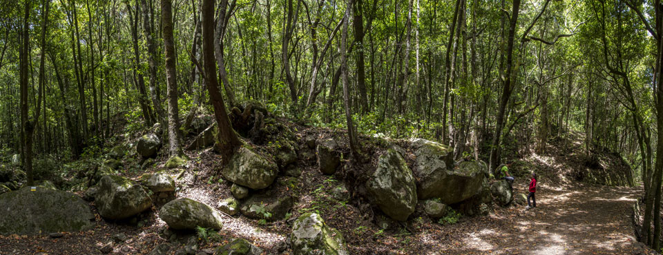 PR-TF 52 Erjos - Las Portelas (Monte del Agua)
