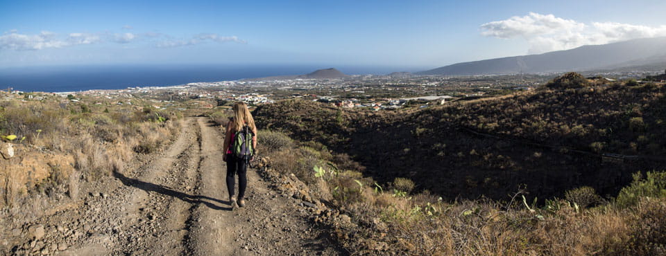 SL-TF 294.1 El Moralito