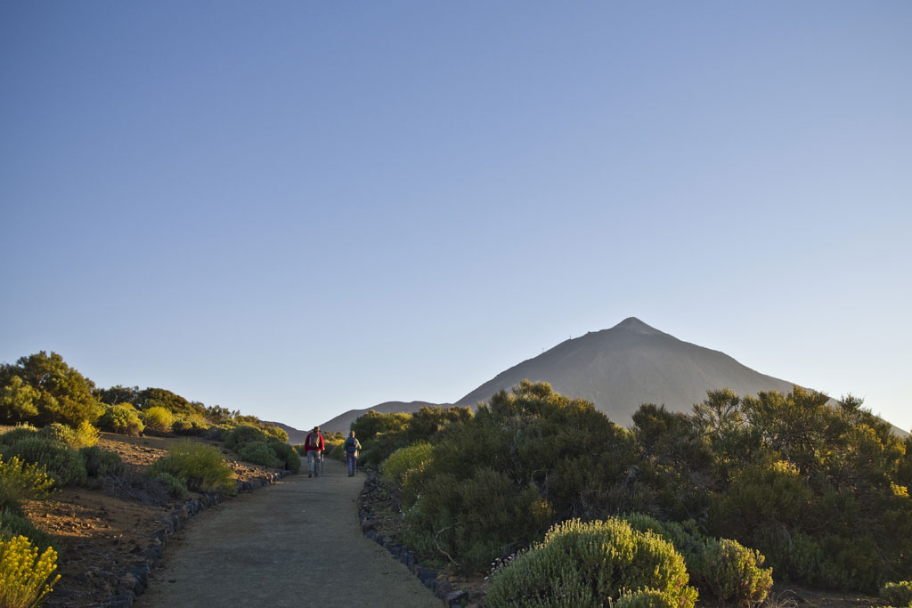 14. Alto de Guamaso