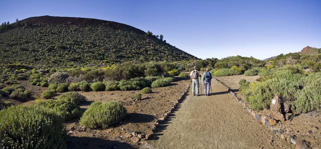 14. Alto de Guamaso