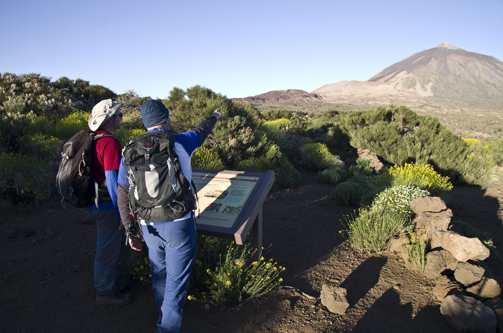 Due persone osservano il paesaggio verso il Monte Teide a Tenerife, indossando zaini e indicando un vulcano.