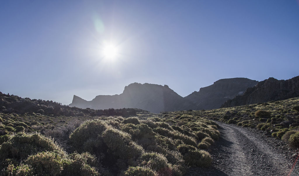 Sentiero montuoso nel Parco Nazionale del Teide, Tenerife, con il sole all'orizzonte.
