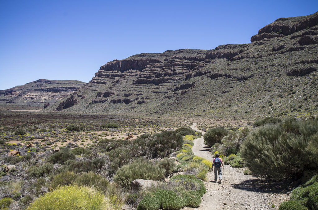 Sentiero montuoso nel Parco Nazionale del Teide, Tenerife, con una persona che cammina.