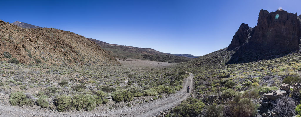 Strada sterrata circondata da montagne e vegetazione nel Parco Nazionale del Teide, Tenerife.