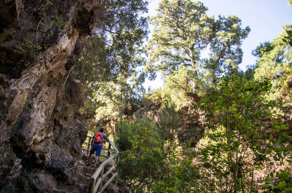 Persona che cammina lungo un sentiero roccioso nella foresta di Anaga, Tenerife.