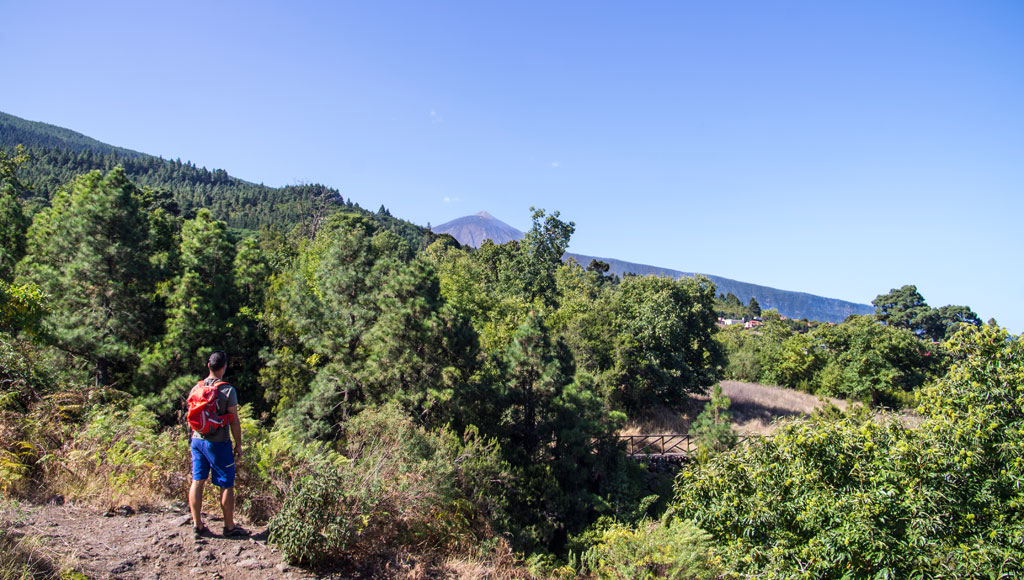 Persona con lo zaino rosso che cammina tra gli alberi a Tenerife, con la montagna sullo sfondo.