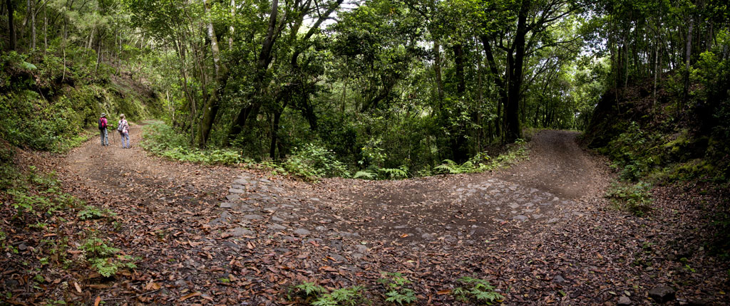 PR-TF 54 Los Silos - Las Moradas - Monte del Agua