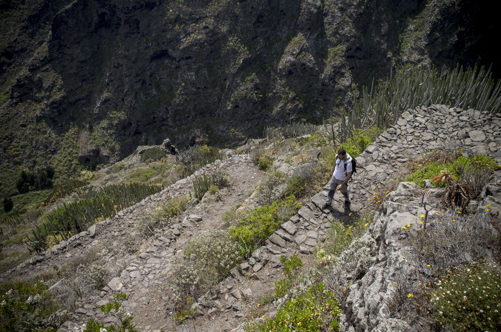 PR-TF 55 Los Silos - Talavera - El Palmar