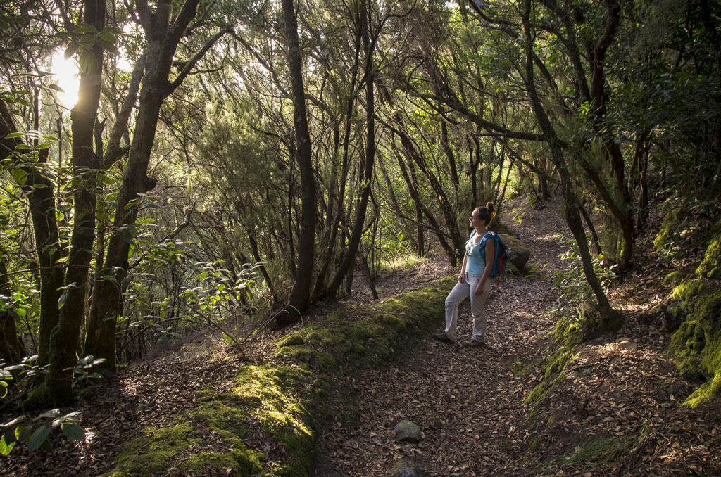 Persona che cammina su un sentiero boschivo ad Anaga, Tenerife.