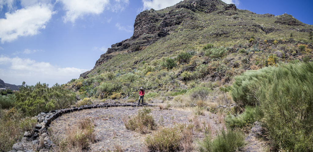 Sentiero di montagna nel Parco Rurale di Teno, Tenerife, con un camminatore solitario.