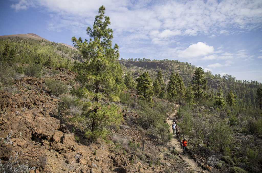 PR-TF 83 Altos de Granadilla